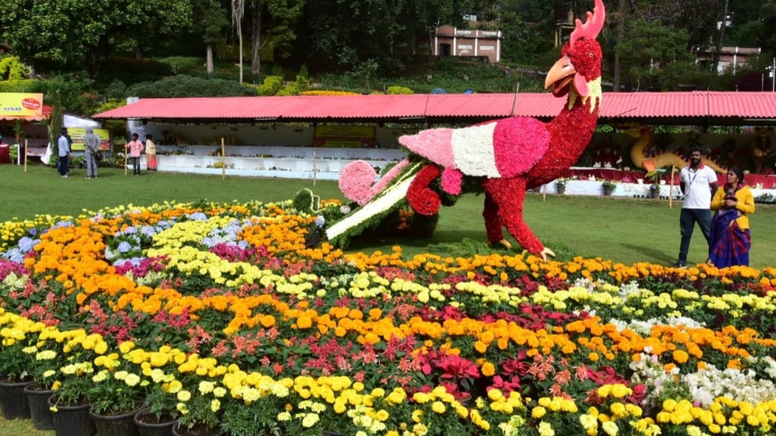 Blooming Days at Bryant Park in Kodai